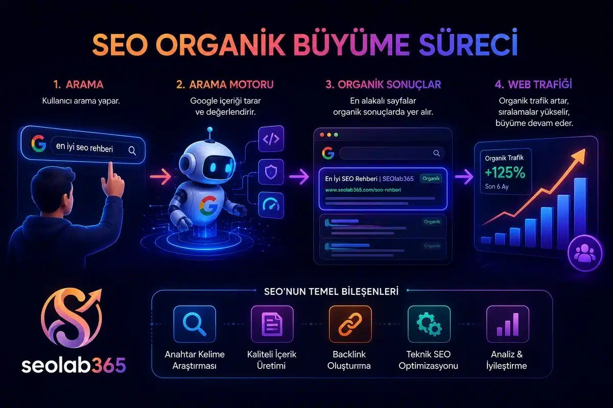 SEO sürecinin arama kullanıcısından organik sonuçlara ve web trafiği artışına kadar nasıl ilerlediğini gösteren görsel