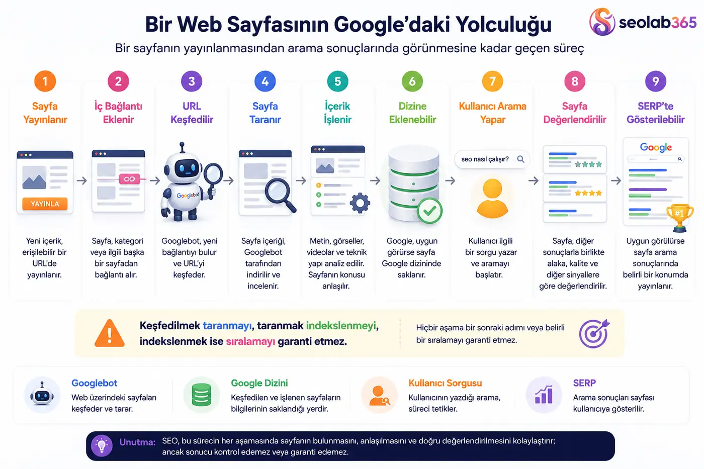 Bir web sayfasının yayınlanmasından Google SERP’te gösterilmesine kadar geçen süreci anlatan infografik